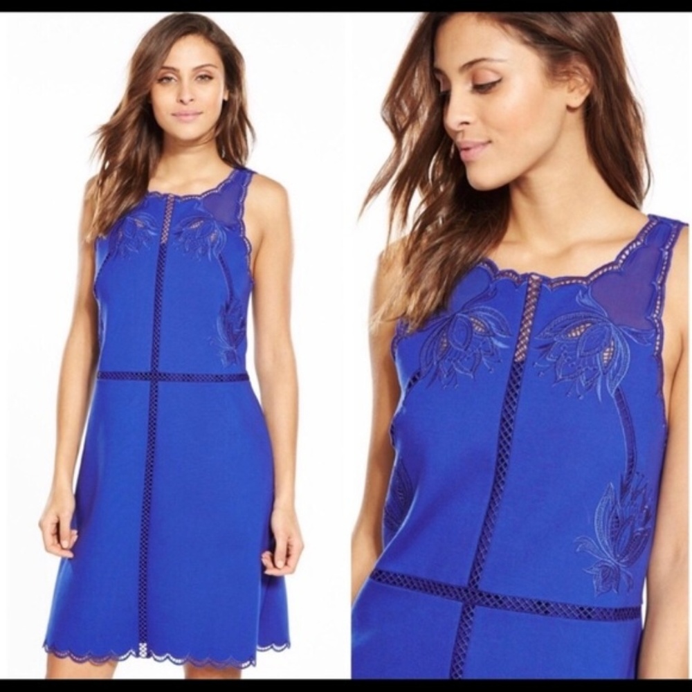 Ted Baker Codi Embroidered Scallop A-Line Dress